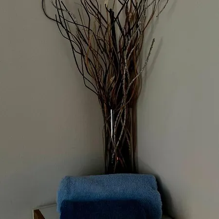 Lejlighed Wellness Apartman Stankov Stankov (Jindrichuv Hradec)